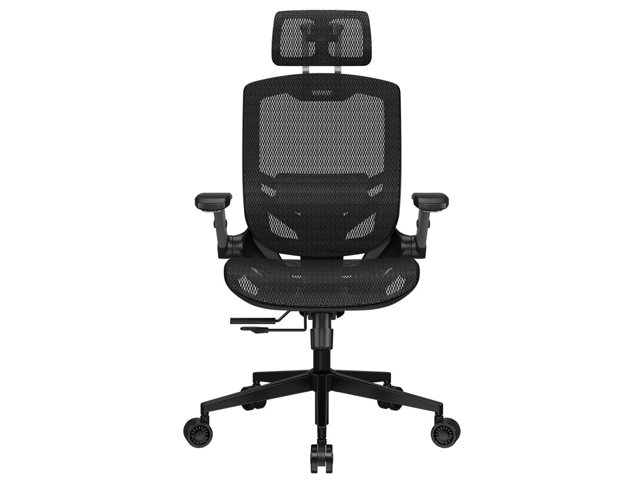 SPEEDER ONE CGR-SPO-BLB