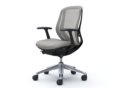 Sylphy C641BR FMR3