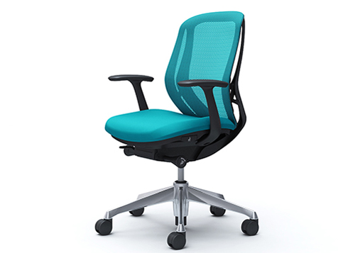 Sylphy C641BR FMR6