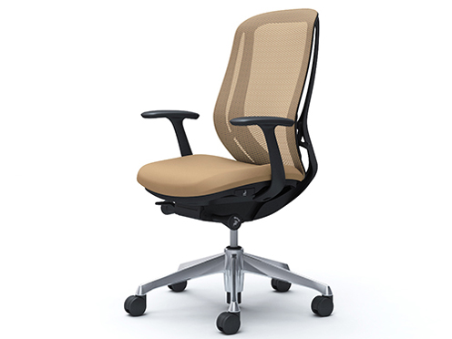 Sylphy C645BR FMP7