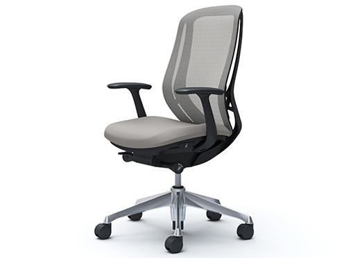 Sylphy C645BR FMR3