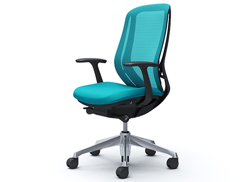 Sylphy C645BR FMR6