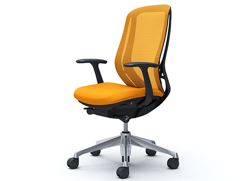 Sylphy C645BR FMR8