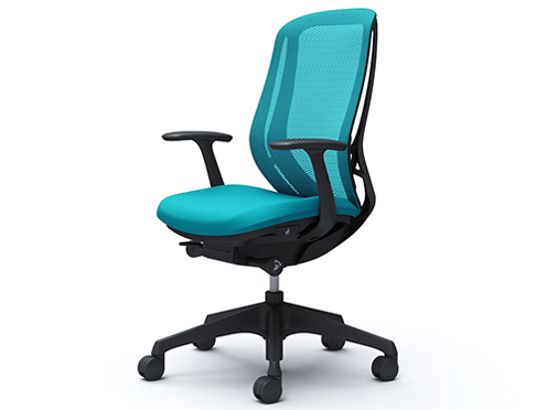 Sylphy C645XR FMR6