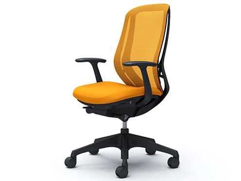 Sylphy C645XR FMR8