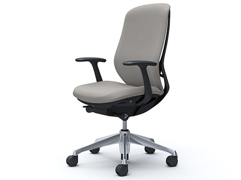 Sylphy C647BR FSG3