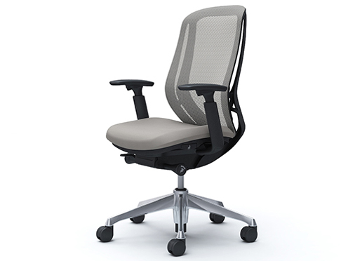 Sylphy C685BR FMR3
