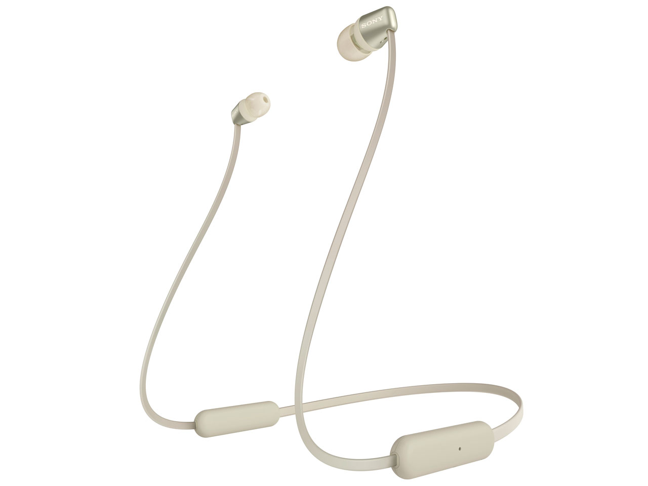 WI-C310 (N)